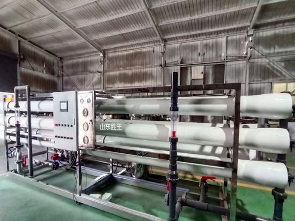 30噸反滲透設(shè)備